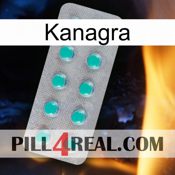 Kanagra 28.jpg